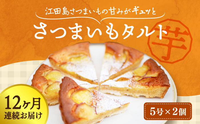 【全12回定期便】気づけばぺろり必至！てくてくのさつまいもたると ホール5号×2個セット 江田島市/峰商事 合同会社[XAD072] 定期便
