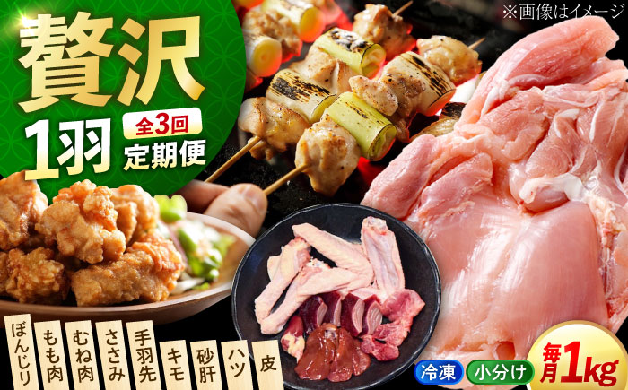 【全3回定期便】?【冷凍】 肉 小分け 冷凍 お肉 うまさが違う！ せとうち育ちの江田島産地鶏 一黒シャモ 一羽 パック 合計約1kg 鶏肉 肉 お肉 にく おにく グルメ ギフト 取り寄せ プレゼント 広島県産 江田島市/ポークアンドチキン江田島 [XAH008]