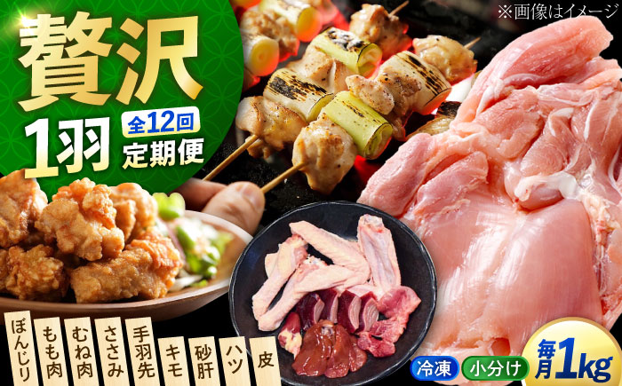 【全12回定期便】?【冷凍】 肉 小分け 冷凍 お肉 うまさが違う！ せとうち育ちの江田島産地鶏 一黒シャモ 一羽 パック 合計約1kg 鶏肉 肉 お肉 にく おにく グルメ ギフト 取り寄せ プレゼント 広島県産 江田島市/ポークアンドチキン江田島 [XAH010]