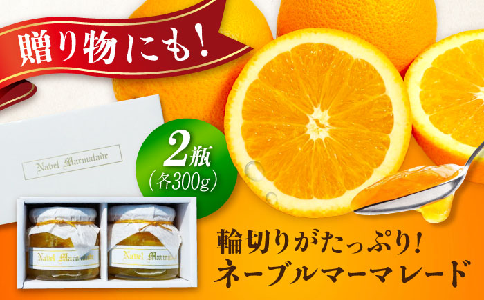 人気のお土産！リピート率ナンバーワン！中下農園の『ネーブルマーマレード』（箱入り・大2個）　みかん 果物 マーマレード ママレード ジャム パン 広島県産 江田島市/江田島市観光協会 [XAI006]