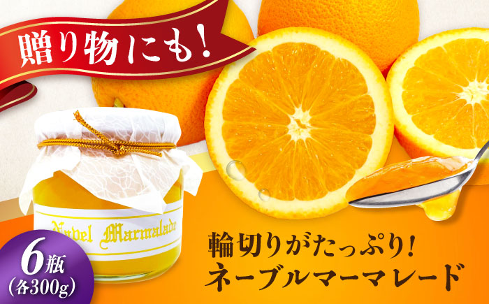 人気のお土産！リピート率ナンバーワン！中下農園の『ネーブルマーマレード』（箱入り・大6個）　みかん 果物 マーマレード ママレード ジャム パン 広島県産 江田島市/江田島市観光協会 [XAI008]