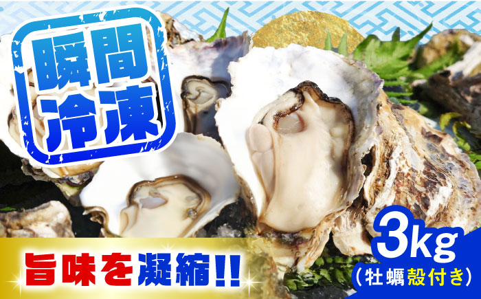 【年内発送】特選 牡蠣三昧！【瞬間冷凍】広島牡蠣　殻付き３kg カキ かき 広島 料理 簡単 魚介類 海鮮 ギフト 広島県産 江田島市/株式会社門林水産 [XAO030] 牡蠣