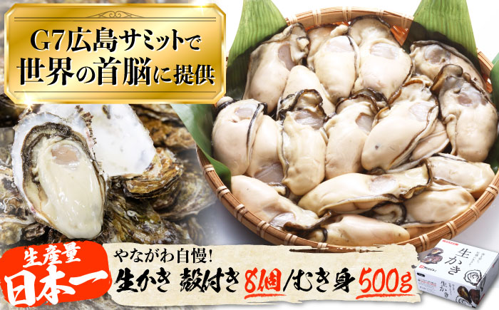 広島G7で提供された牡蠣！【生牡蠣】【着日指定可能】やながわ自慢！ 牡蠣 むき身500g／殻付き8個 かき 海鮮 和食 海産物 簡単 レシピ 広島県産 江田島市/マルサ・やながわ水産有限会社 [XBL026]