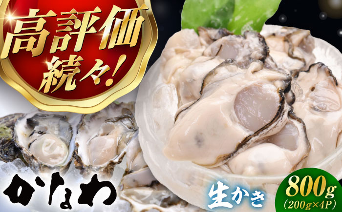 【年内発送】【お歳暮対象】広島牡蠣の老舗！安心・安全の新鮮牡蠣【生牡蠣】牡蠣 かき むき身 800gパック入り 生食用 魚介類 海鮮 広島県産 江田島市/株式会社かなわ [XBP003] 牡蠣