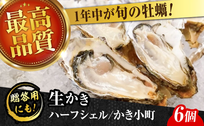 広島牡蠣の老舗！安心・安全の新鮮牡蠣【生牡蠣】牡蠣 かき 殻付き 開殻 夏のかき ハーフシェル『かき小町』6個入 生食用 魚介類 海鮮 広島県産 江田島市/株式会社かなわ [XBP011] 牡蠣