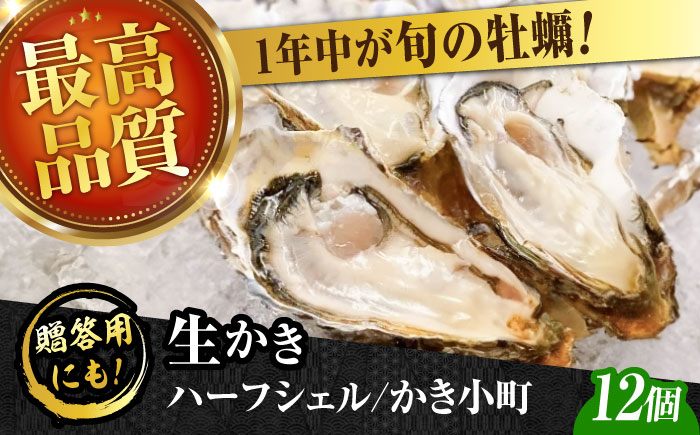 広島牡蠣の老舗！安心・安全の新鮮牡蠣【生牡蠣】牡蠣 かき 殻付き 開殻 夏のかき ハーフシェル『かき小町』12個入 生食用 魚介類 海鮮 広島県産 江田島市/株式会社かなわ [XBP013] 牡蠣