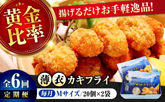 【全6回定期便】牡蠣 冷凍 カキフライ かき カキ 広島牡蠣の老舗！安心・安全の新鮮牡蠣【瞬間冷凍】牡蠣 かきフライMサイズ 40個入り 魚介類 和食 海鮮 海産物 広島県産 江田島市/株式会社かなわ [XBP046] 定期便