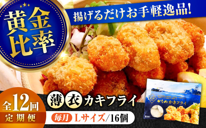 【全12回定期便】牡蠣 冷凍 カキフライ かき カキ 広島牡蠣の老舗！安心・安全の新鮮牡蠣【瞬間冷凍】牡蠣 かきフライ Lサイズ 16個入 魚介類 和食 海鮮 海産物 広島県産 江田島市/株式会社かなわ [XBP050] 定期便