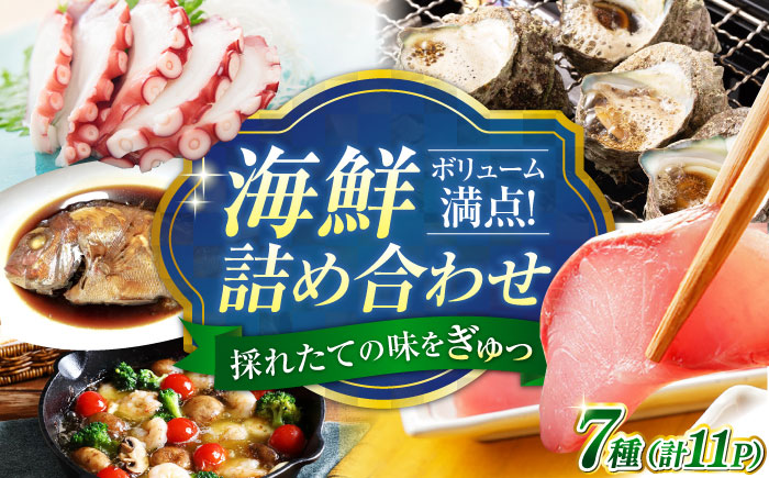 新鮮なお魚盛りだくさん！海鮮詰合せ「竹」 魚介類 海産物 海鮮 刺身 広島 ＜七宝丸＞江田島市 [XBY002] お肉・魚介