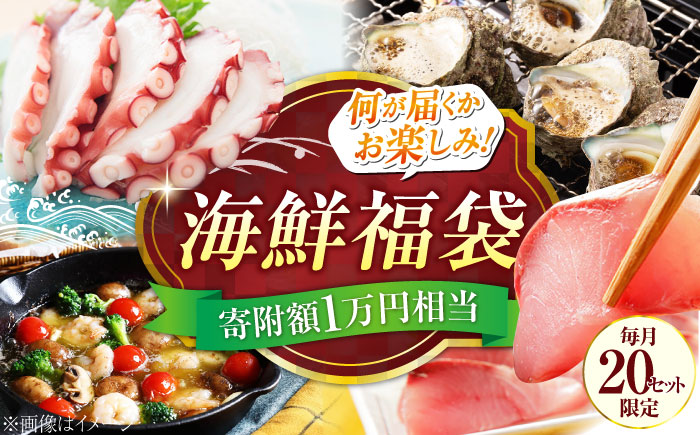【何が届くかお楽しみ】旬の海の幸 福袋 寄附額1万円相当 魚介類 海産物 海鮮 刺身 広島 江田島市/七宝丸 [XBY004] お肉・魚介