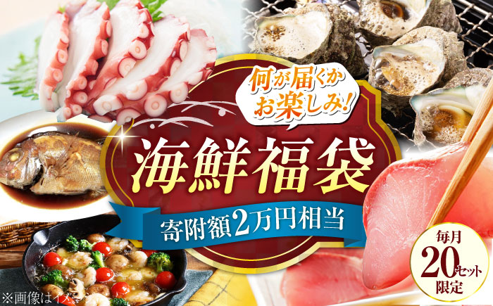 【何が届くかお楽しみ】旬の海の幸 福袋 寄附額2万円相当 魚介類 海産物 海鮮 刺身 広島 江田島市/七宝丸 [XBY005] お肉・魚介