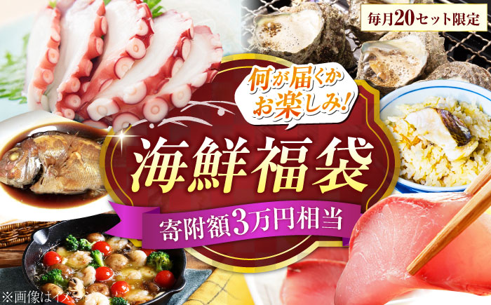 【何が届くかお楽しみ】旬の海の幸 福袋 寄附額3万円相当 魚介類 海産物 海鮮 刺身 広島 江田島市/七宝丸 [XBY006] お肉・魚介