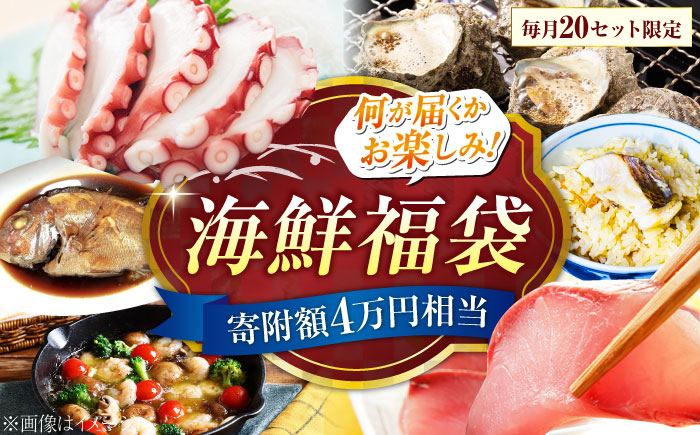 【何が届くかお楽しみ】旬の海の幸 福袋 寄附額4万円相当 魚介類 海産物 海鮮 刺身 広島 江田島市/七宝丸 [XBY007] お肉・魚介
