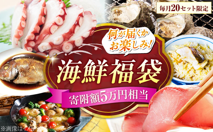 【何が届くかお楽しみ】旬の海の幸 福袋 寄附額5万円相当 魚介類 海産物 海鮮 刺身 広島 江田島市/七宝丸 [XBY008] お肉・魚介