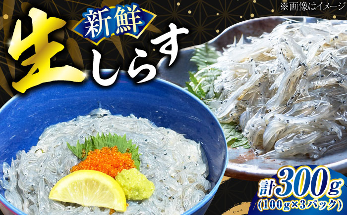 生しらす 100g×3個 しらす シラス 冷凍 小分け 魚介類 海鮮 丼 広島県産 江田島市/七宝丸 [XBY013]