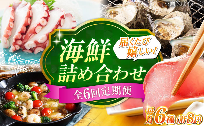 【全6回定期便】新鮮なお魚盛りだくさん！海鮮詰合せ「梅」 料理 和食 簡単 レシピ 魚介類 海産物 海鮮 刺身 ギフト お取り寄せ 江田島市/七宝丸 [XBY015]
