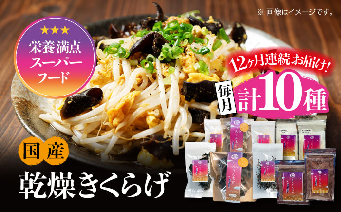 【全12回定期便】【栄養満点のスーパーフード！りんりんきくらげ】国産 乾燥 木耳 美容 健康 よくばりセット 計10袋＜株式会社凛＞江田島市 [XCB014] 定期便
