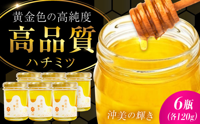 【年内発送】まじりっけなし！江田島産100％!はちみつ『沖美の輝き』120g×6本セット ハチミツ ハニー 蜂蜜 国産 広島県 江田島市/はつはな果蜂園 [XCD003] 調味料