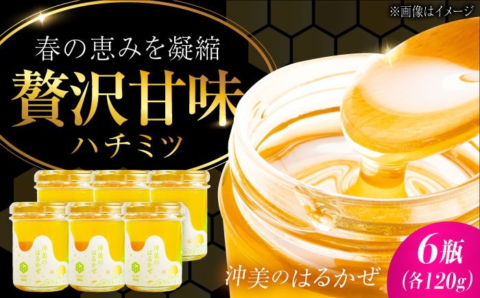 【年内発送】まじりっけなし！江田島産100％!はちみつ『沖美のはるかぜ』120g×6本セット ハチミツ ハニー 蜂蜜 国産 広島県 江田島市/はつはな果蜂園 [XCD005] 調味料