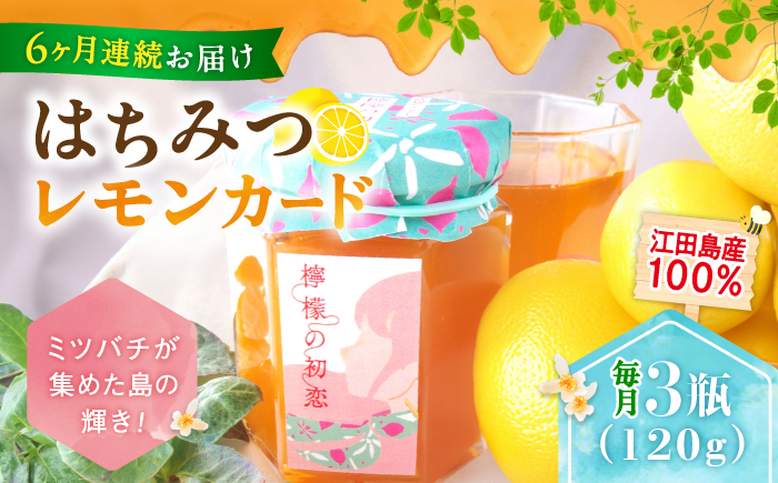 【全6回定期便】いつもの朝食を特別に！江田島はちみつレモンカード『檸檬の初恋』 120g×3本セット れもん ハチミツ ハニー 蜂蜜 広島 江田島市/はつはな果蜂園 [XCD010] 定期便