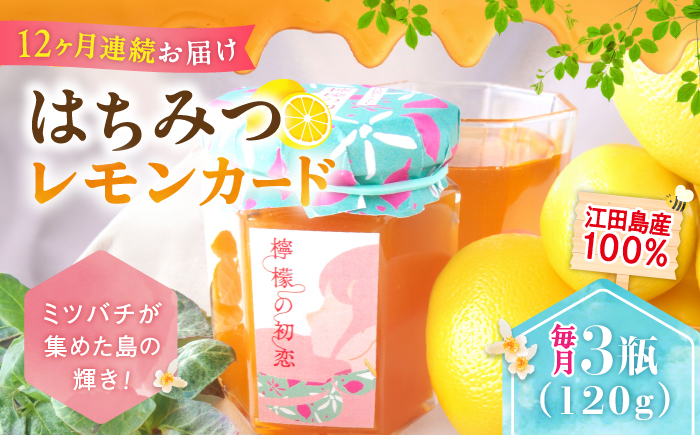 【全12回定期便】いつもの朝食を特別に！江田島はちみつレモンカード『檸檬の初恋』 120g×3本セット れもん ハチミツ ハニー 蜂蜜 広島 江田島市/はつはな果蜂園 [XCD011] 定期便