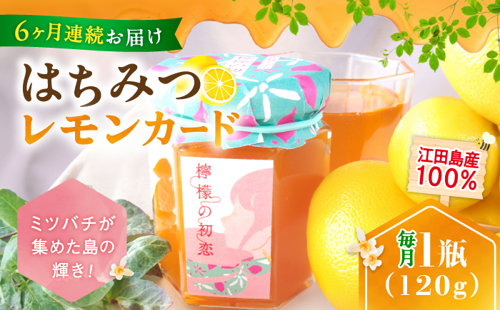 【全6回定期便】いつもの朝食を特別に！江田島はちみつレモンカード『檸檬の初恋』120g×1本 れもん ハチミツ ハニー バター 蜂蜜 広島県 江田島市/はつはな果蜂園 [XCD013] 定期便