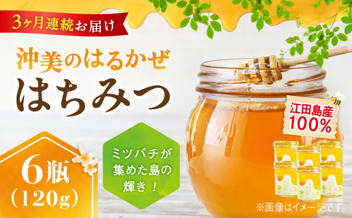 【全3回定期便】まじりっけなし！江田島産100％!はちみつ『沖美のはるかぜ』120g×6本セット ハチミツ ハニー 蜂蜜 国産 広島県 江田島市/はつはな果蜂園 [XCD015] 定期便