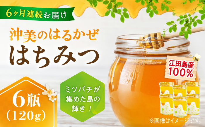 【全6回定期便】まじりっけなし！江田島産100％!はちみつ『沖美のはるかぜ』120g×6本セット ハチミツ ハニー 蜂蜜 国産 広島県 江田島市/はつはな果蜂園 [XCD016] 定期便
