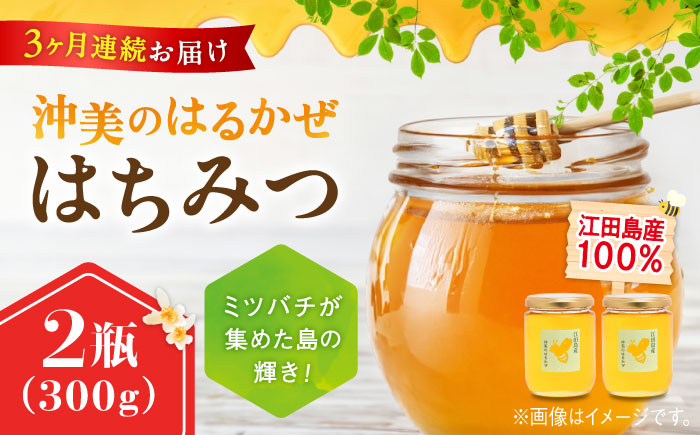 【全3回定期便】まじりっけなし！江田島産100％!はちみつ『沖美のはるかぜ』300g×2本セット ハチミツ ハニー 蜂蜜 国産 広島 江田島市/はつはな果蜂園 [XCD018] 定期便