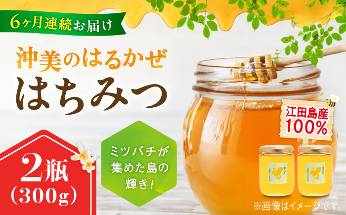 【全6回定期便】まじりっけなし！江田島産100％!はちみつ『沖美のはるかぜ』300g×2本セット ハチミツ ハニー 蜂蜜 国産 広島 江田島市/はつはな果蜂園 [XCD019] 定期便
