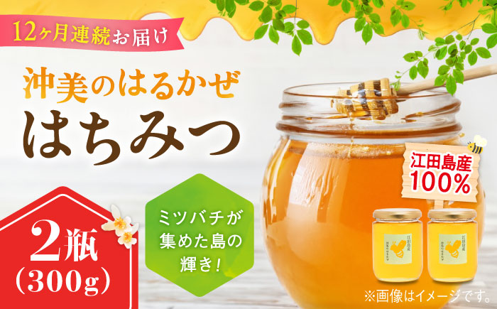 【全12回定期便】まじりっけなし！江田島産100％!はちみつ『沖美のはるかぜ』300g×2本セット ハチミツ ハニー 蜂蜜 国産 広島 江田島市/はつはな果蜂園 [XCD020] 定期便