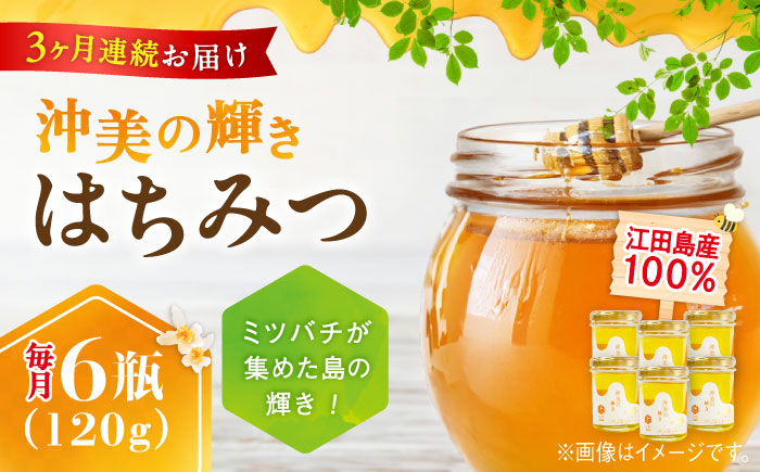 【全3回定期便】まじりっけなし！江田島産100％!はちみつ『沖美の輝き』120g×6本セット ハチミツ ハニー 蜂蜜 国産 広島県 江田島市/はつはな果蜂園 [XCD021] 定期便