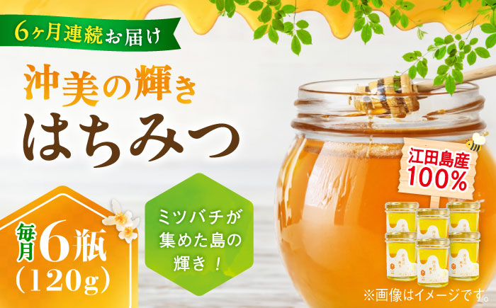 【全6回定期便】まじりっけなし！江田島産100％!はちみつ『沖美の輝き』120g×6本セット ハチミツ ハニー 蜂蜜 国産 広島県 江田島市/はつはな果蜂園 [XCD022] 定期便