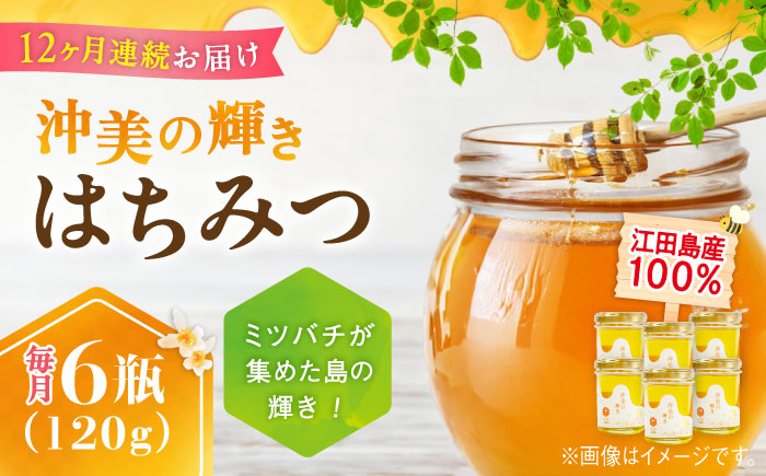 【全12回定期便】まじりっけなし！江田島産100％!はちみつ『沖美の輝き』120g×6本セット ハチミツ ハニー 蜂蜜 国産 広島県 江田島市/はつはな果蜂園 [XCD023] 定期便