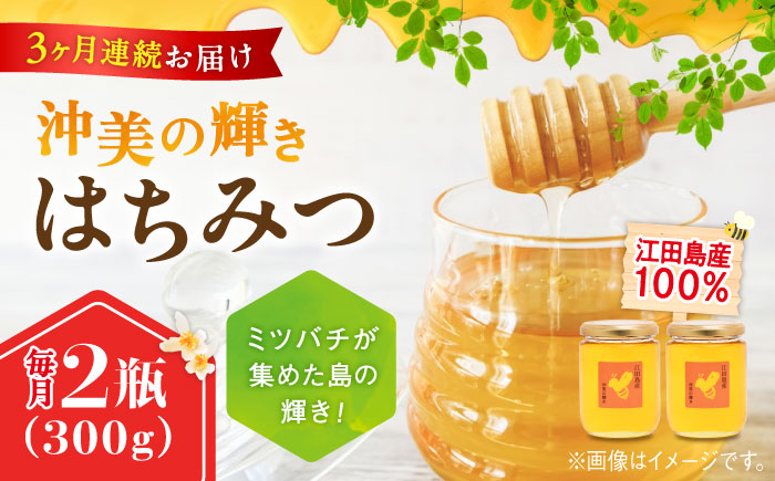 【全3回定期便】まじりっけなし！江田島産100％!はちみつ『沖美の輝き』300g×2本 ハチミツ ハニー 蜂蜜 国産 広島 江田島市/はつはな果蜂園 [XCD024] 定期便
