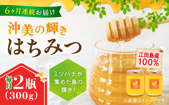 【全6回定期便】まじりっけなし！江田島産100％!はちみつ『沖美の輝き』300g×2本 ハチミツ ハニー 蜂蜜 国産 広島 江田島市/はつはな果蜂園 [XCD025] 定期便