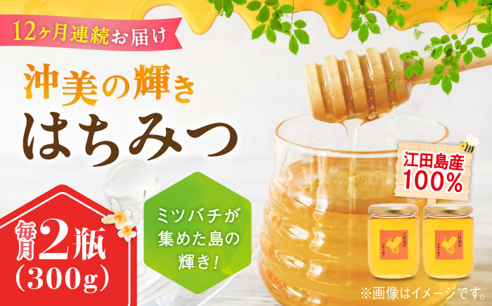 【全12回定期便】まじりっけなし！江田島産100％!はちみつ『沖美の輝き』300g×2本 ハチミツ ハニー 蜂蜜 国産 広島 江田島市/はつはな果蜂園 [XCD026] 定期便