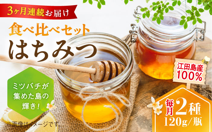 【全3回定期便】まじりっけなし！江田島産100％!はちみつ2種食べ比べセット（120g×3本） ハチミツ ハニー 蜂蜜 国産 広島県 江田島市/はつはな果蜂園 [XCD027] 定期便