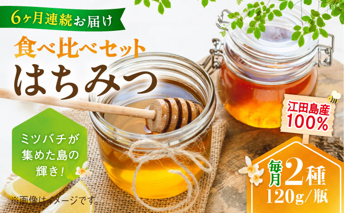 【全6回定期便】まじりっけなし！江田島産100％!はちみつ2種食べ比べセット（120g×3本） ハチミツ ハニー 蜂蜜 国産 広島県 江田島市/はつはな果蜂園 [XCD028] 定期便