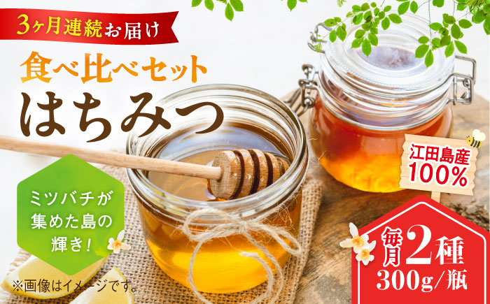 【全3回定期便】まじりっけなし！江田島産100％!はちみつ2種食べ比べセット（300g×2本） ハチミツ ハニー 蜂蜜 国産 広島県 江田島市/はつはな果蜂園 [XCD030] 定期便