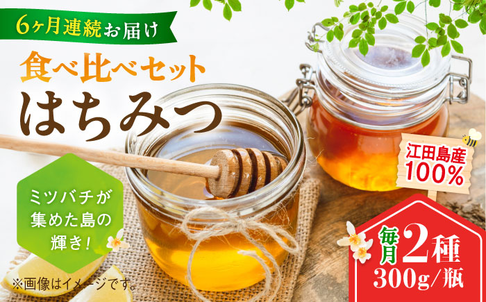 【全6回定期便】まじりっけなし！江田島産100％!はちみつ2種食べ比べセット（300g×2本） ハチミツ ハニー 蜂蜜 国産 広島県 江田島市/はつはな果蜂園 [XCD031] 定期便