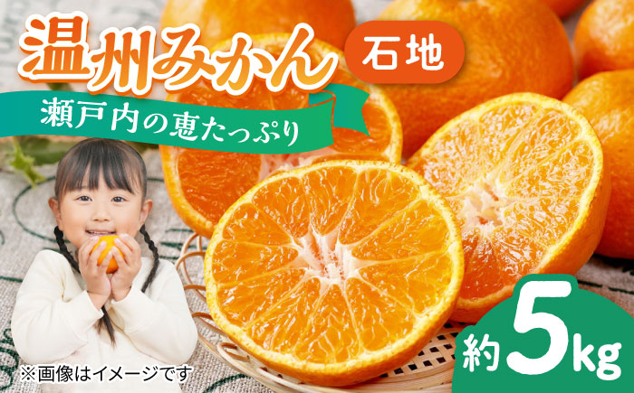 【期間限定】瀬戸内の恵たっぷり！温州 みかん 5kg 石地 中生 ミカン 柑橘＜小原農園＞江田島市[XCE002] 野菜・果物