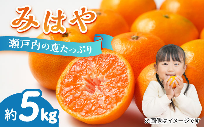 【瀬戸内の恵たっぷり】柑橘 みはや 5kg ＜小原農園＞江田島市 [XCE005] 野菜・果物