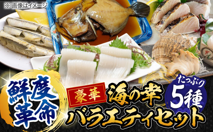 【鮮度革命】 こだわり冷凍保存！豪華海の幸バラエティ5種セット 魚 料理 和食 簡単 レシピ 魚介類 海産物 海鮮 刺身 ギフト 江田島市/秋宝丸 [XCK004] お肉・魚介