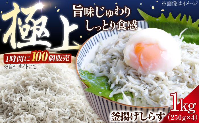 【お歳暮対象】鮮度抜群＆水分率80％!ふわふわ釜揚げしらす 1kg 冷凍 シラス 鮮魚 ギフト 海鮮丼 広島県 江田島/三島水産株式会社 [XCN001] お肉・魚介