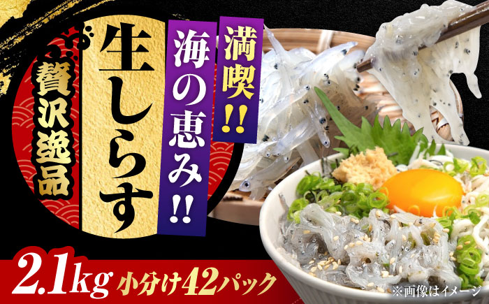 【お歳暮対象】しらす 冷凍 シラス　小分け 干し 生しらすのプリッした食感と塩味が抜群！生しらす50g×42個 冷凍 シラス 鮮魚 ギフト 海鮮丼 広島県産 江田島市/三島水産株式会社 [XCN004] お肉・魚介