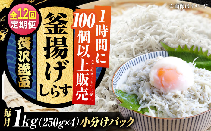 【全12回定期便】鮮度抜群＆水分率80％!ふわふわ釜揚げしらす 1kg 冷凍 シラス 鮮魚 ギフト 海鮮丼 広島県 江田島/三島水産株式会社 [XCN010] 定期便