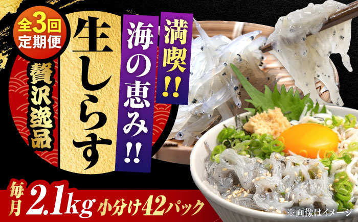 【全3回定期便】しらす 冷凍 シラス　小分け 干し 生しらすのプリッした食感と塩味が抜群！生しらす50g×42個 冷凍 シラス 鮮魚 ギフト 海鮮丼 広島県産 江田島市/三島水産株式会社 [XCN017] 定期便