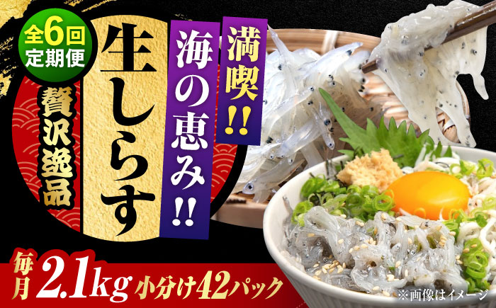 【全6回定期便】しらす 冷凍 シラス　小分け 干し 生しらすのプリッした食感と塩味が抜群！生しらす50g×42個 冷凍 シラス 鮮魚 ギフト 海鮮丼 広島県産 江田島市/三島水産株式会社 [XCN018] 定期便