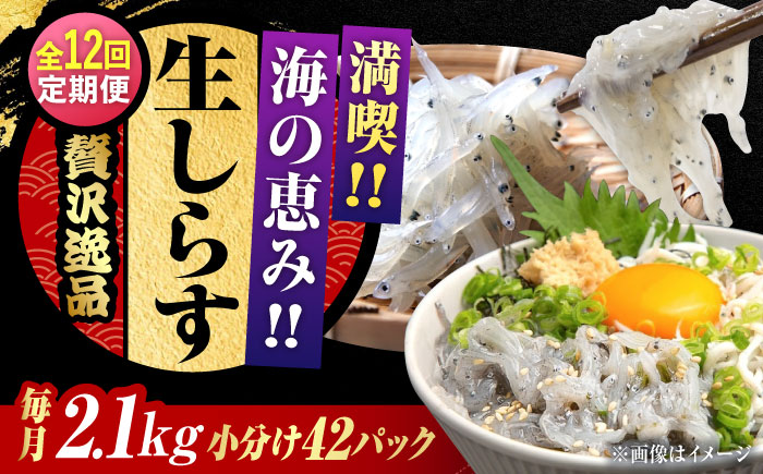 【全12回定期便】しらす 冷凍 シラス　小分け 干し 生しらすのプリッした食感と塩味が抜群！生しらす50g×42個 冷凍 シラス 鮮魚 ギフト 海鮮丼 広島県産 江田島市/三島水産株式会社 [XCN019] 定期便
